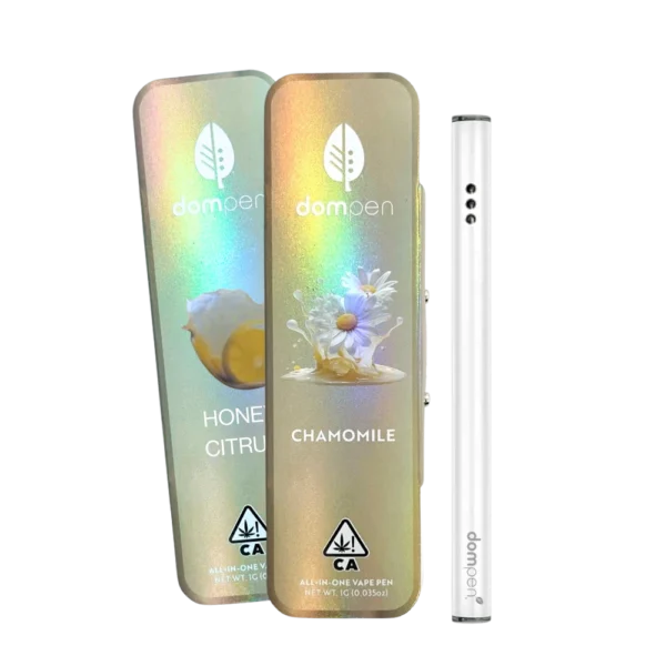 DOMPEN<br> 1G ALL-IN-ONES