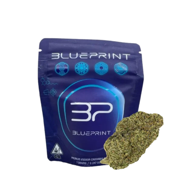 BLUEPRINT<br> 7G FLOWER