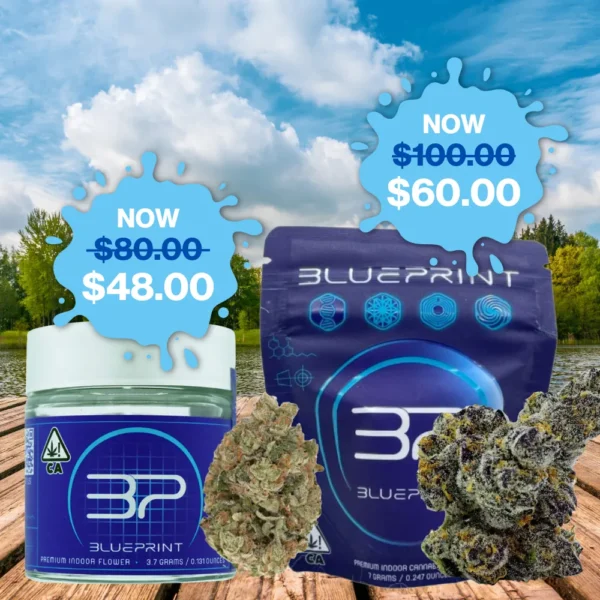 BLUEPRINT<BR> FLOWER