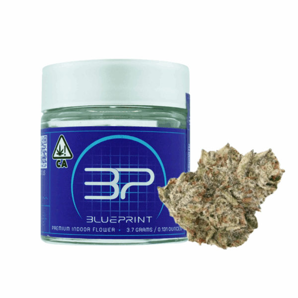 BLUEPRINT<br> FRIDAY DEAL