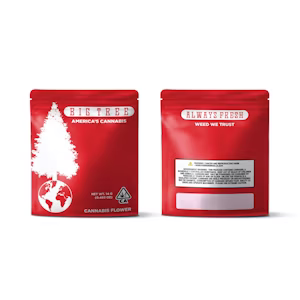 BIG TREE<BR>14G FLOWER