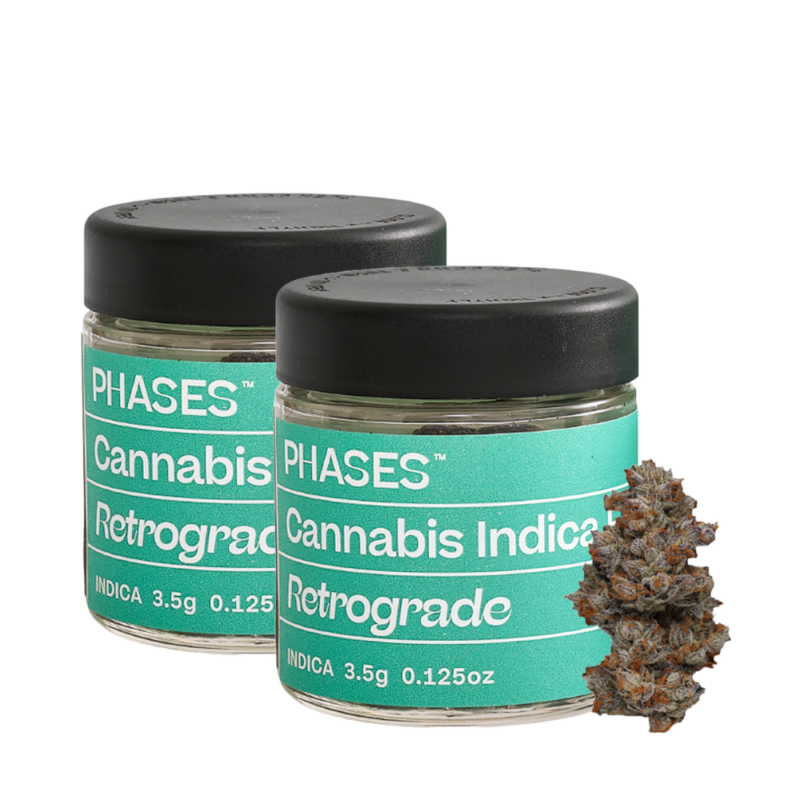 PHASES<BR>HOLIDAY SALE