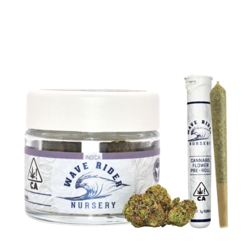 WAVE RIDER<BR>HOLIDAY SALE