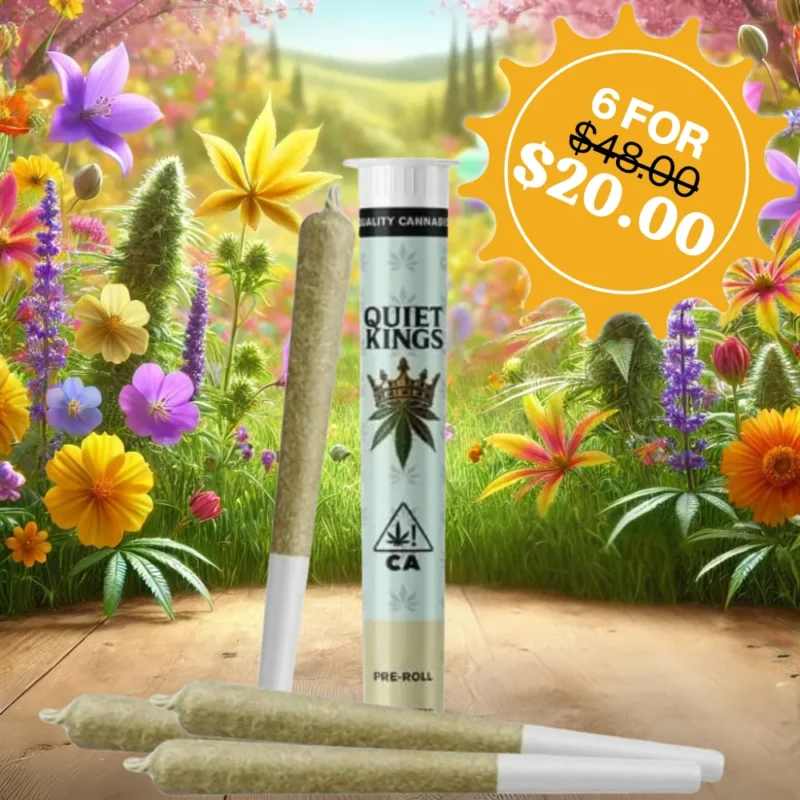 QUIET KINGS<br> 1G PREROLLS