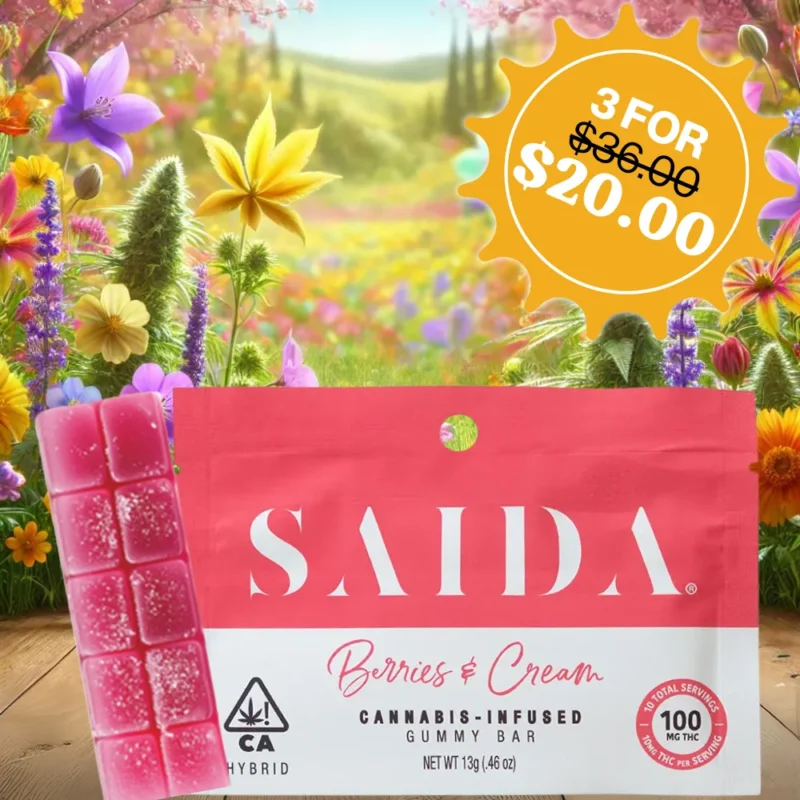 SAIDA<br> 100MG EDIBLES