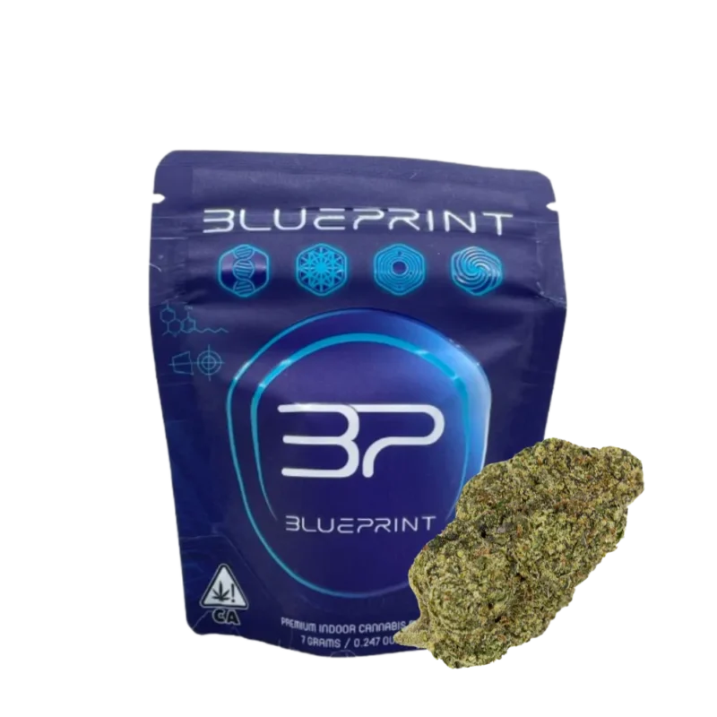 BLUEPRINT<br> 7G FLOWER