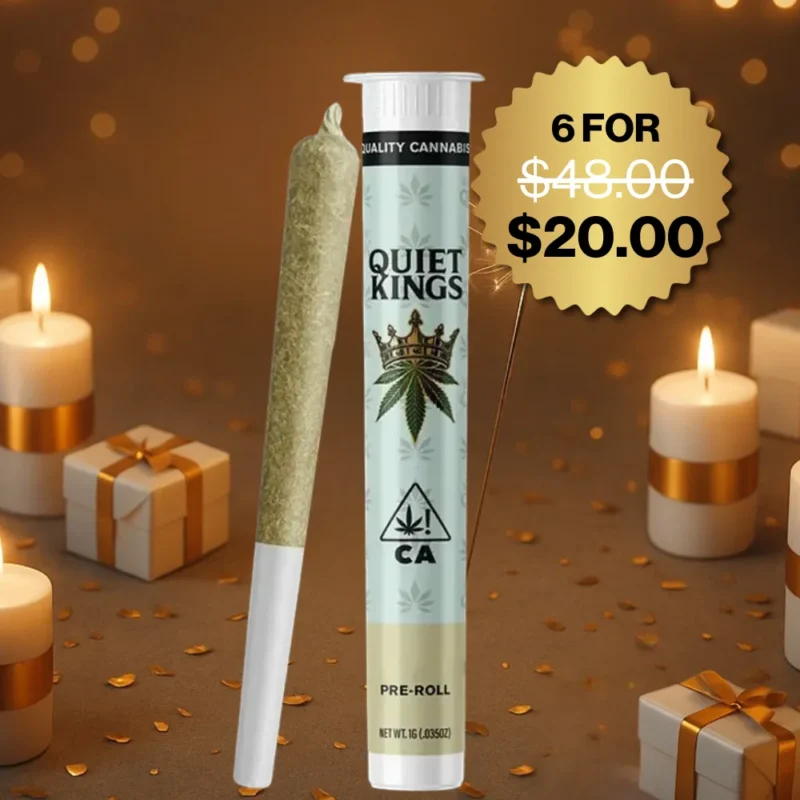 QUIET KINGS<br> 1G PREROLLS