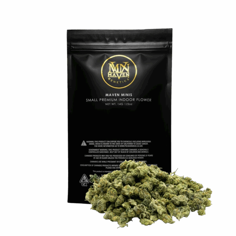 MAVEN<BR>HOLIDAY SALE