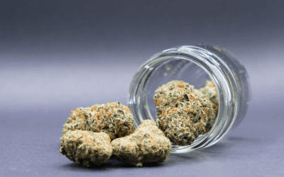 Indica, Sativa, or Hybrid? How to Choose the Right Flower for You