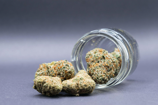 Indica, Sativa, or Hybrid? How to Choose the Right Flower for You