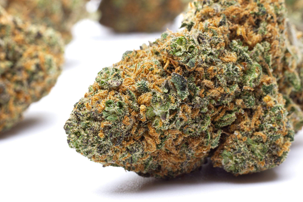 Join the CLUB for Dixon and Davis Dispensary Deals